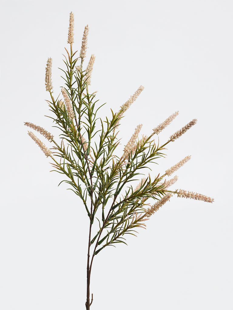 Westside Home Beige Common Reed Artificial Plant