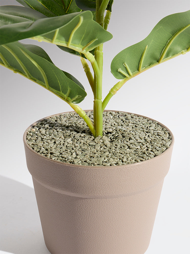 Westside Home Green Artificial Fiddle Plant - Small