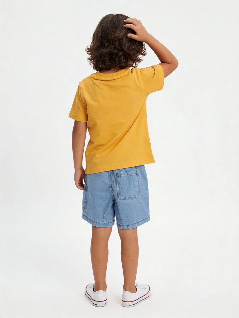 HOP Kids Boys Light Blue Regular Fit Denim Shorts