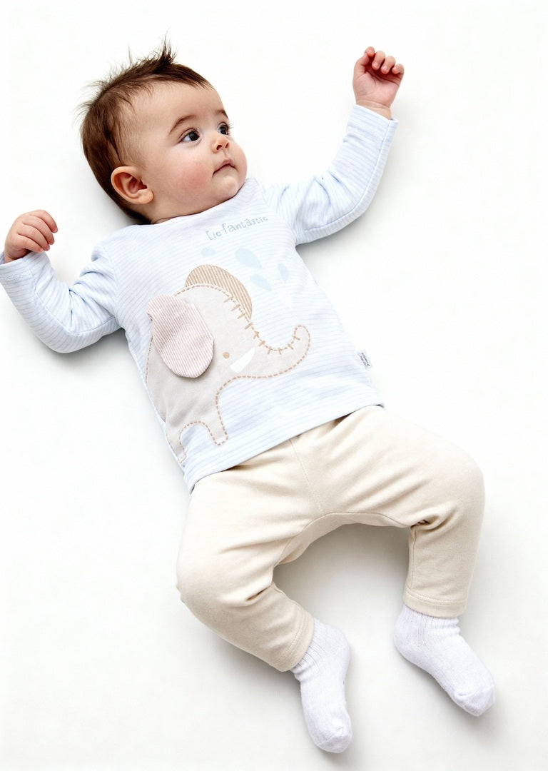 HOP Baby Boys Beige Animal Design Cotton T-Shirt with Pants Set