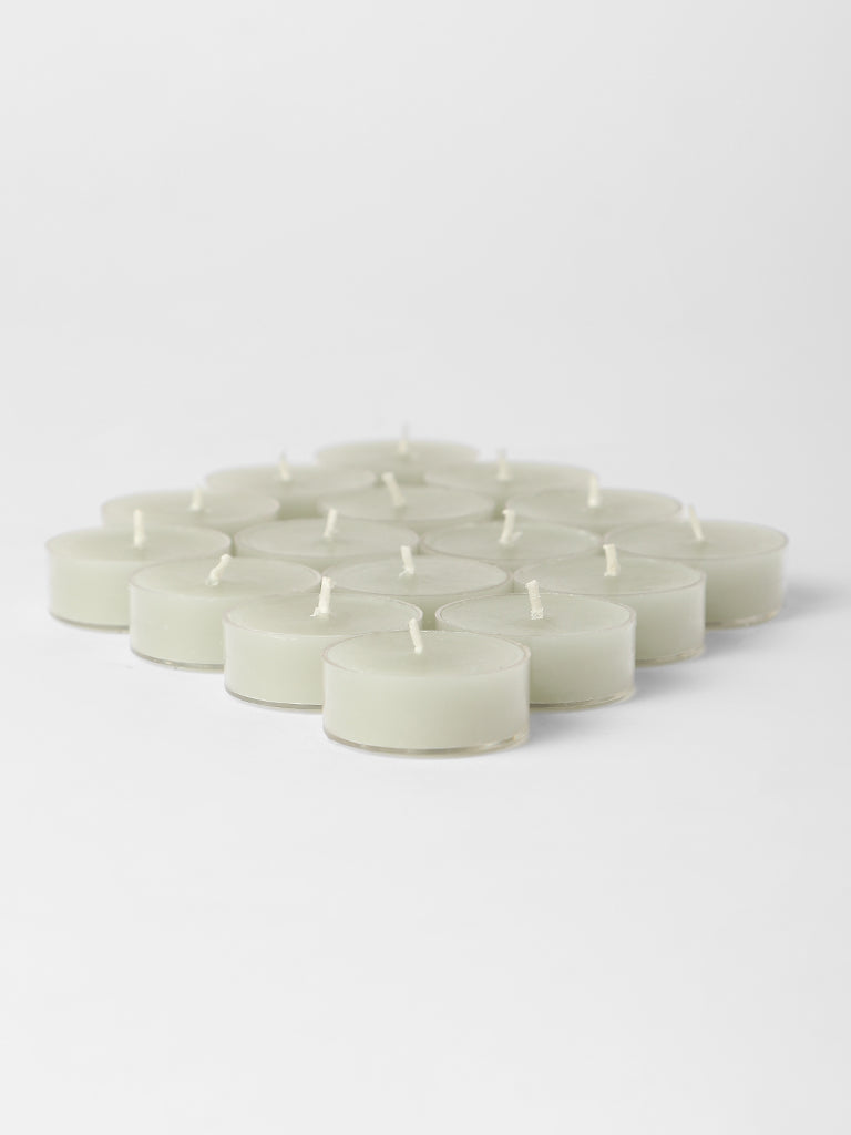 Westside Home Mint Wax Acrylic Tealight- (Set of 16)